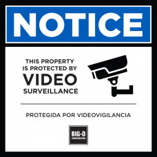 Video Surveillance (N-01)