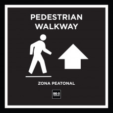 Pedestrian Walkway-AHEAD (PW-AHEAD)